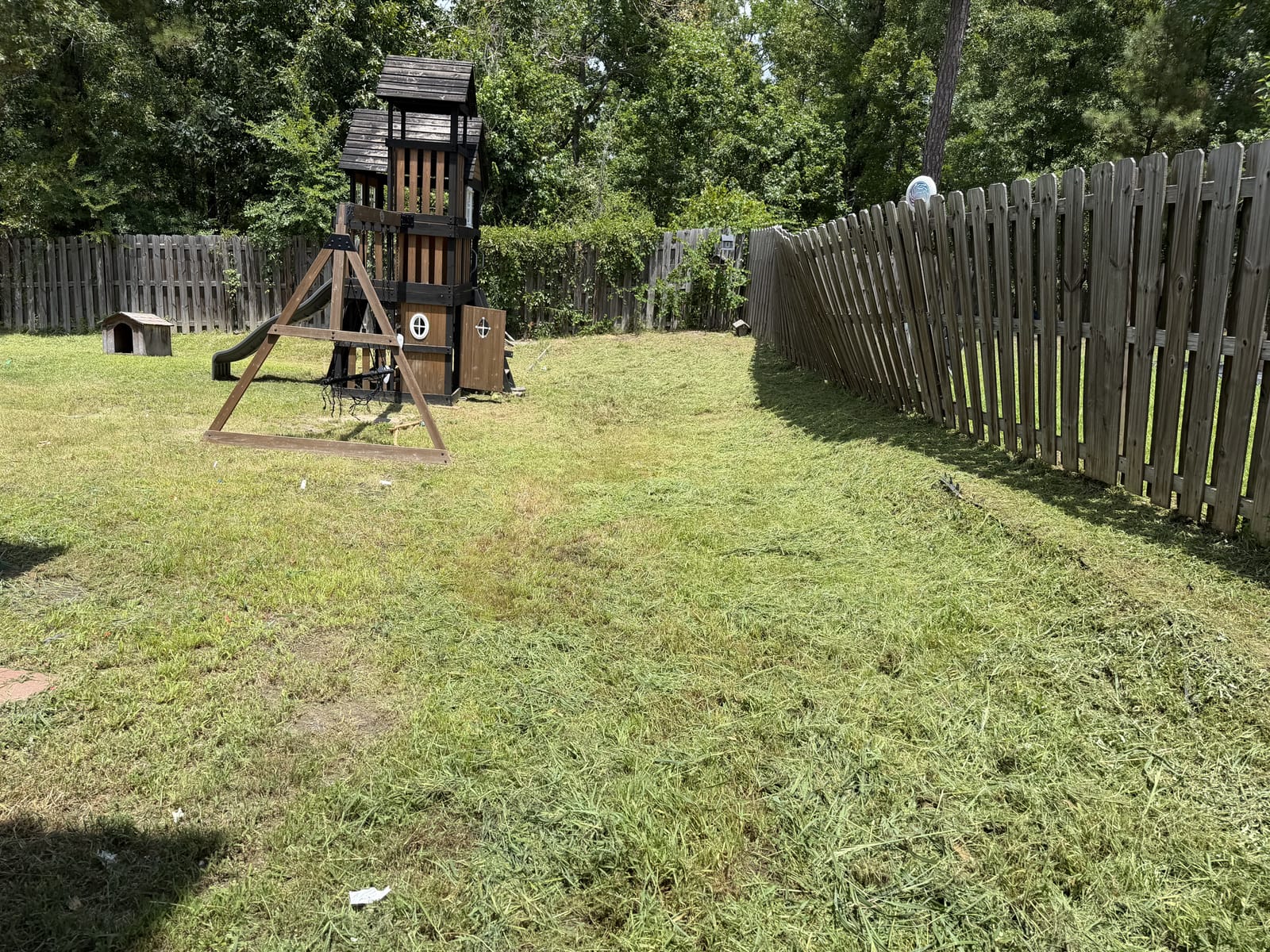 Backyard around a playset mowed and cleaned up