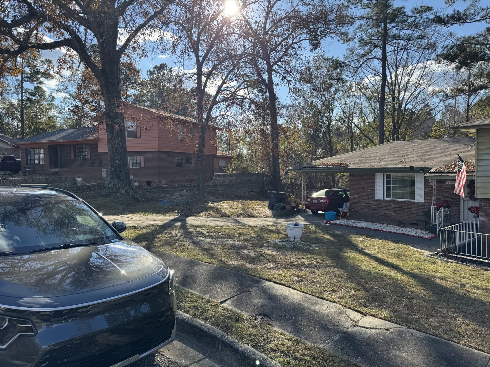 Yard fully cleared after a complete leaf removal
