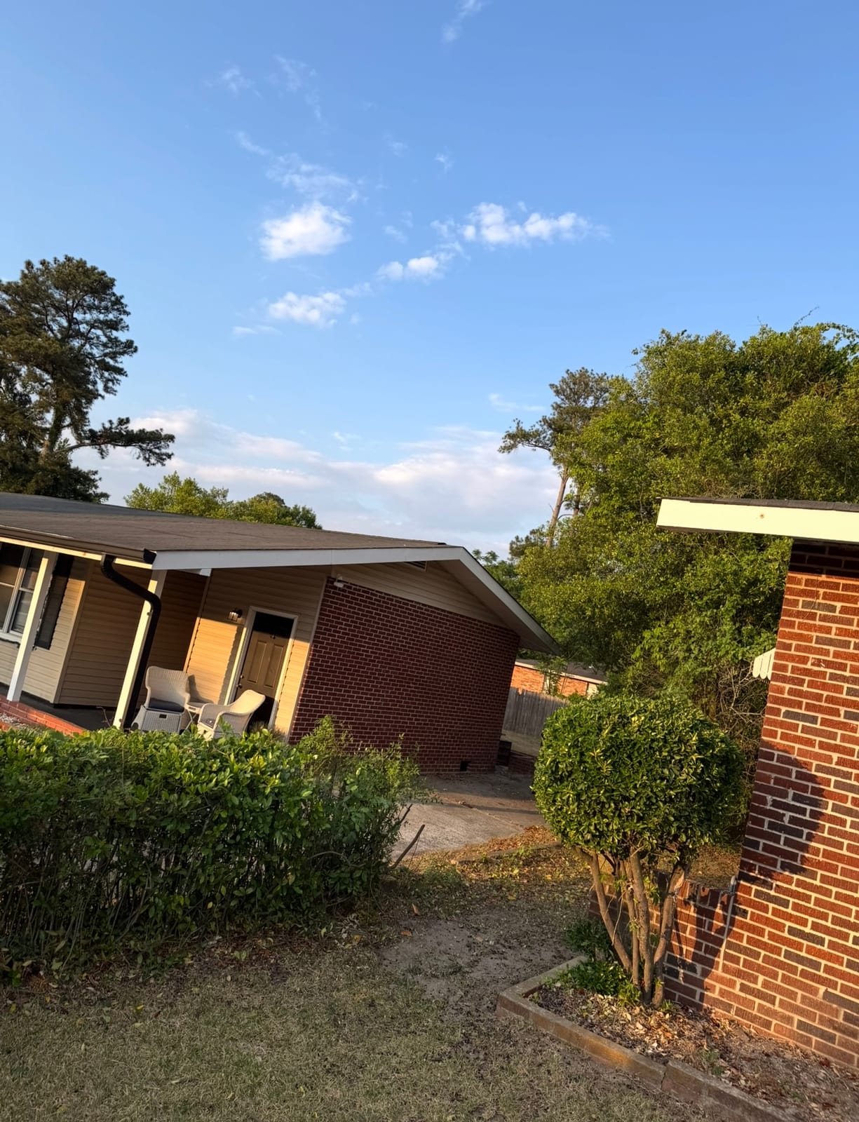 Cleared side yard and trimmed shrubs after tree removal
