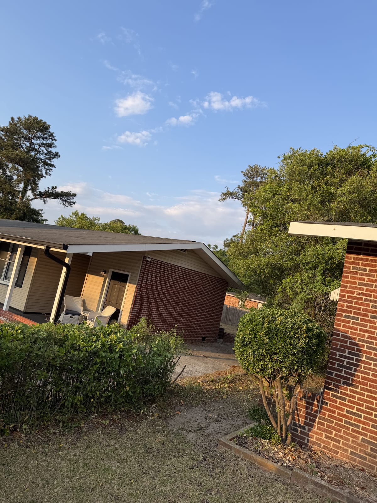 Front yard opened up and cleaned after overgrown tree removal
